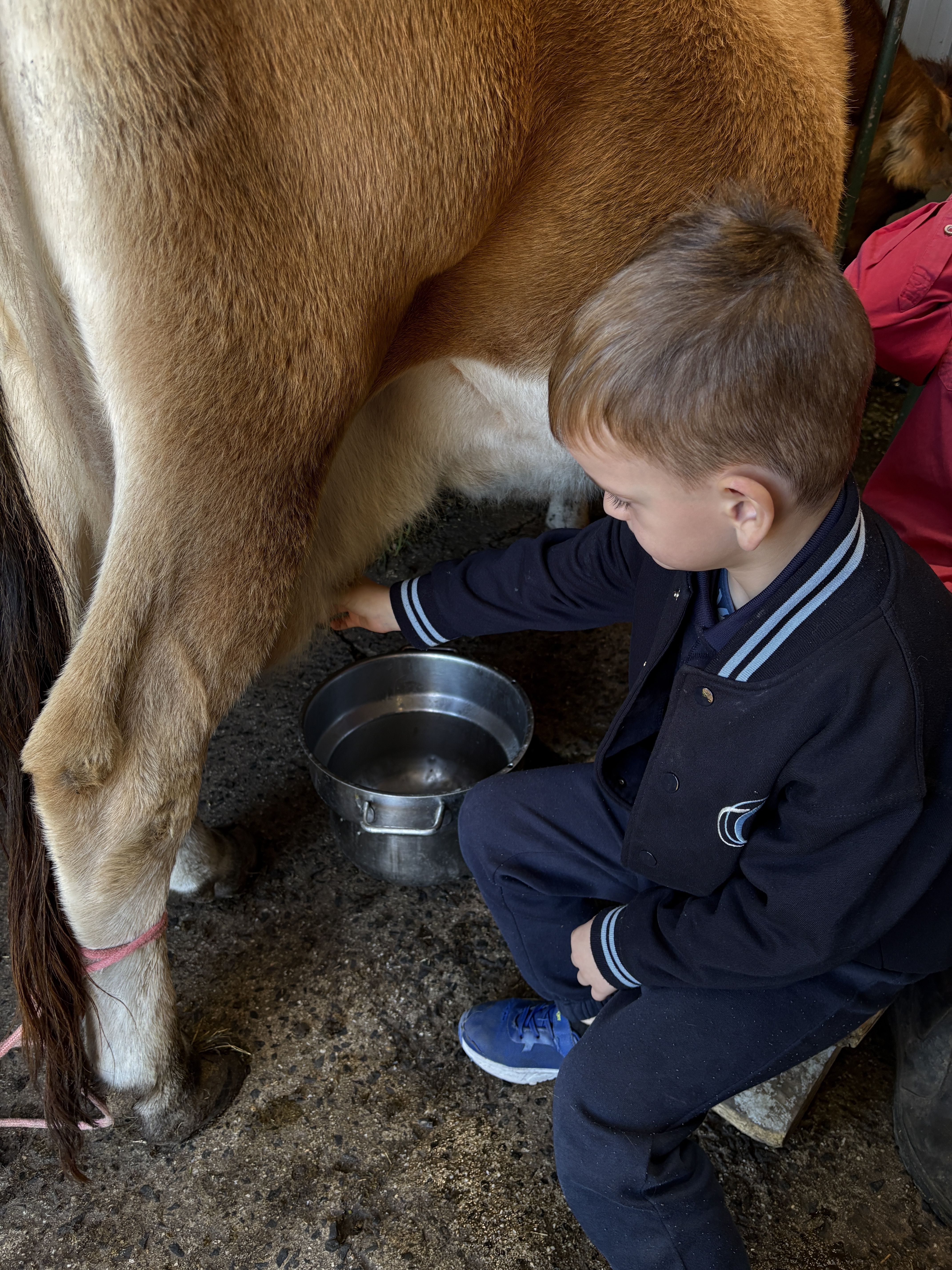 /uploaded_files/media/gallery/1779155028MILKING.jpeg